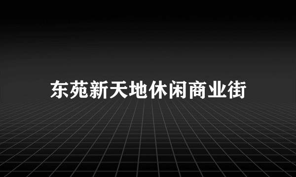 东苑新天地休闲商业街