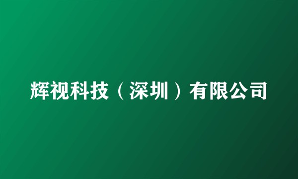 辉视科技（深圳）有限公司