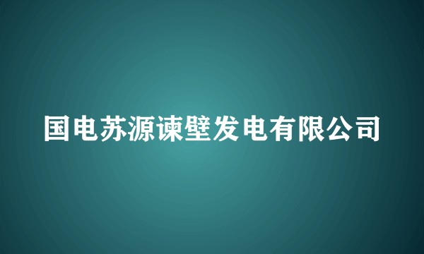 国电苏源谏壁发电有限公司