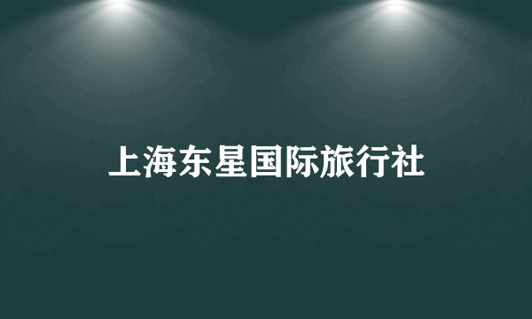 上海东星国际旅行社