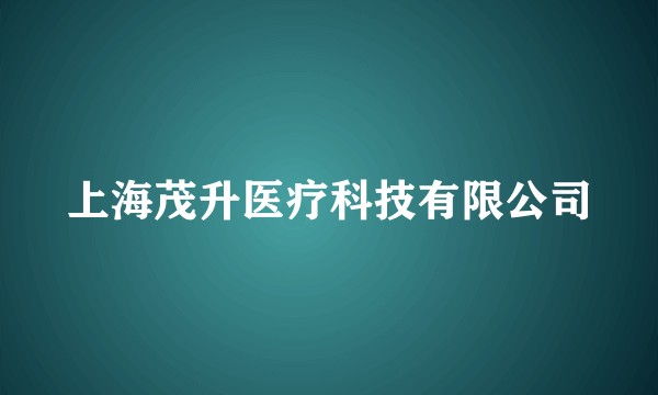 上海茂升医疗科技有限公司