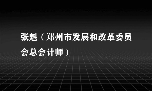 张魁（郑州市发展和改革委员会总会计师）