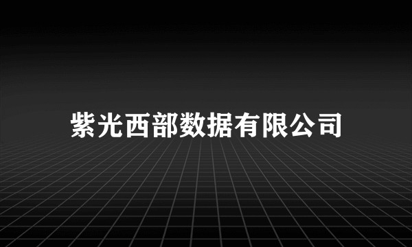 紫光西部数据有限公司