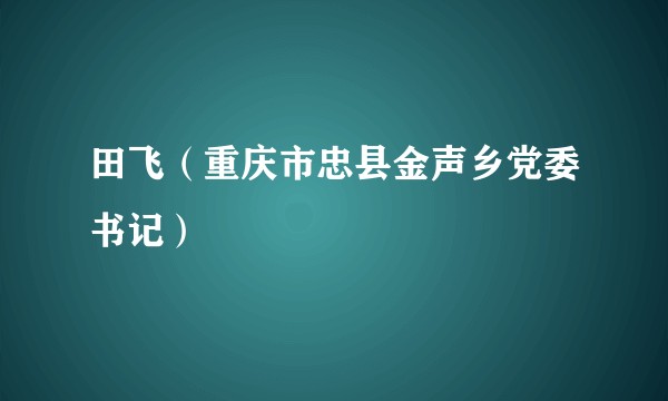 田飞（重庆市忠县金声乡党委书记）