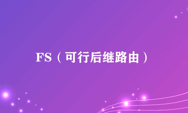 FS（可行后继路由）