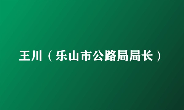 王川（乐山市公路局局长）