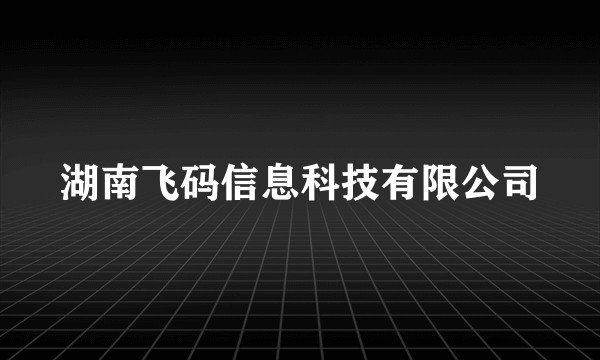 湖南飞码信息科技有限公司