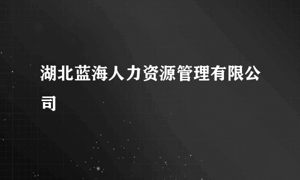 湖北蓝海人力资源管理有限公司