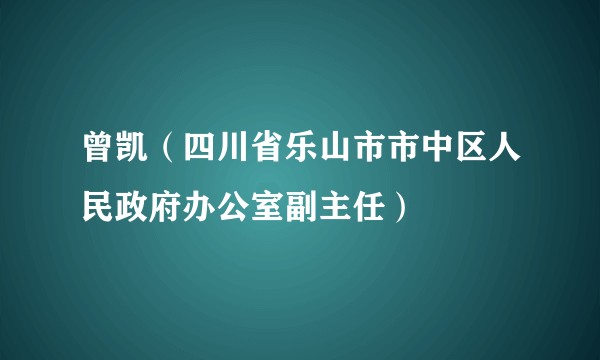 曾凯（四川省乐山市市中区人民政府办公室副主任）
