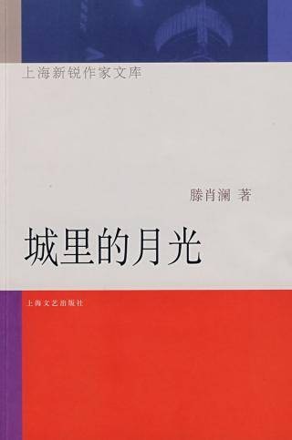 城里的月光（2008年上海文艺出版社出版的图书）