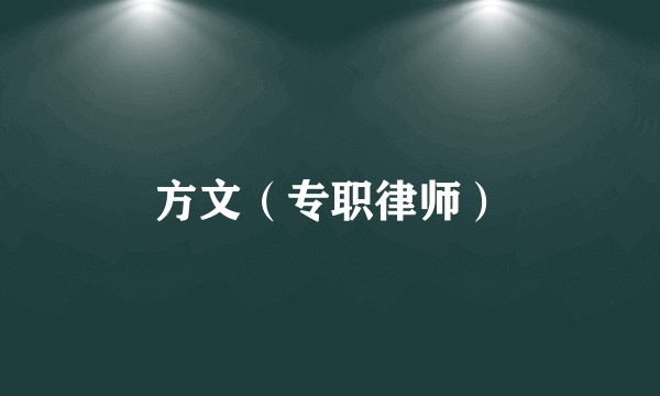 方文（专职律师）