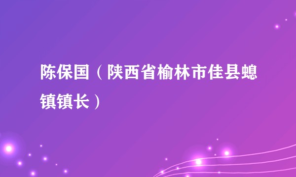 陈保国（陕西省榆林市佳县螅镇镇长）