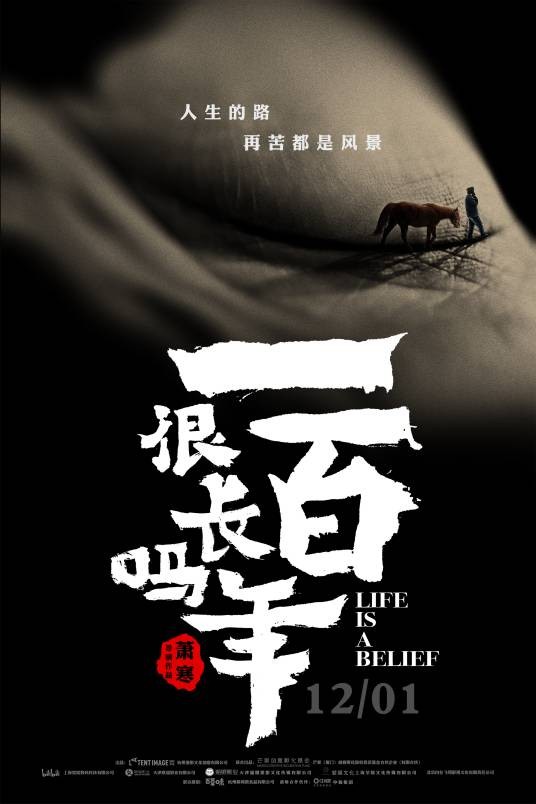 一百年很长吗（2018年萧寒执导纪录片）