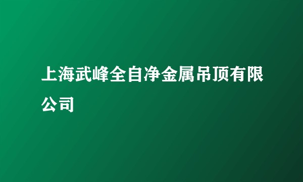 上海武峰全自净金属吊顶有限公司