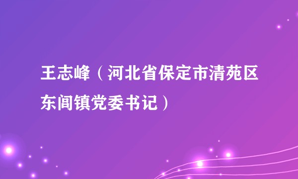 王志峰（河北省保定市清苑区东闾镇党委书记）