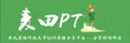 麦田PT