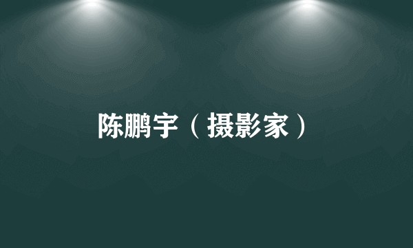 陈鹏宇（摄影家）