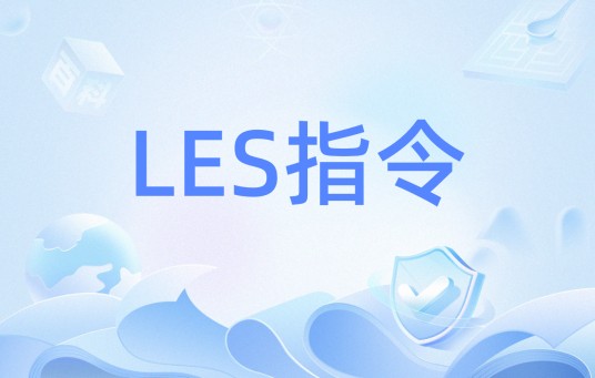 LES指令