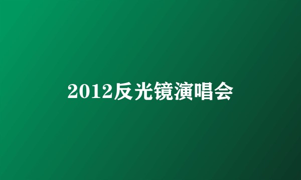 2012反光镜演唱会