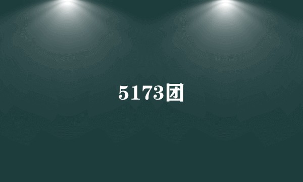 5173团