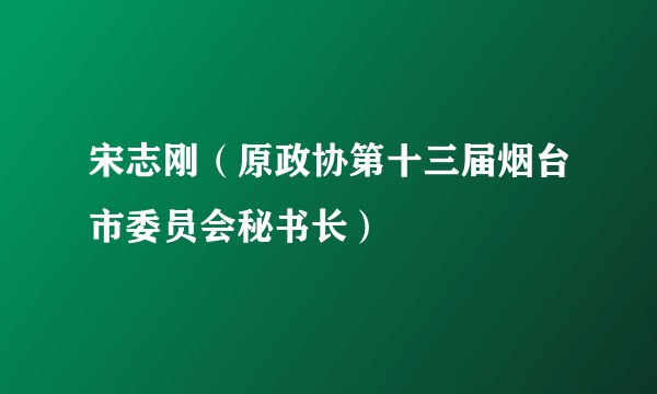 宋志刚（原政协第十三届烟台市委员会秘书长）