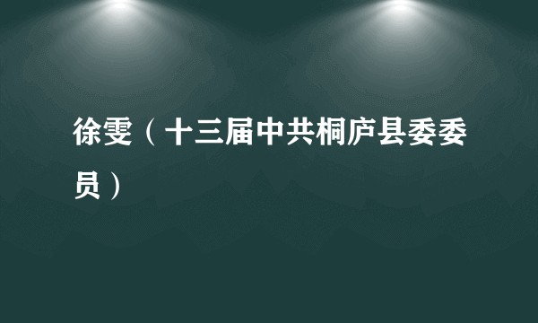 徐雯（十三届中共桐庐县委委员）