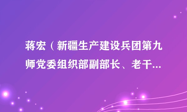 蒋宏（新疆生产建设兵团第九师党委组织部副部长、老干部局局长）