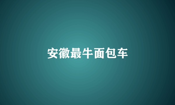 安徽最牛面包车