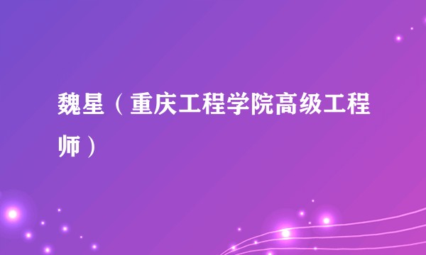 魏星（重庆工程学院高级工程师）