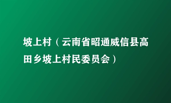 坡上村（云南省昭通威信县高田乡坡上村民委员会）