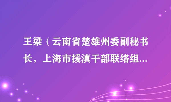 王梁（云南省楚雄州委副秘书长，上海市援滇干部联络组楚雄小组组长）