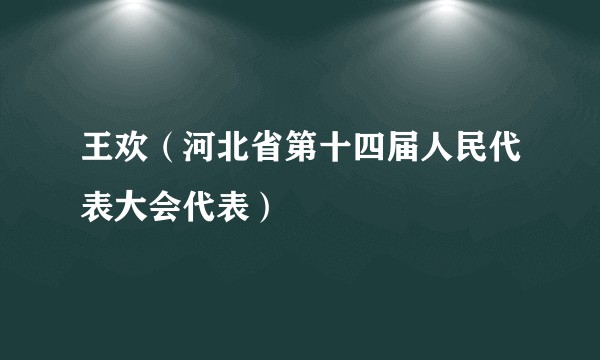 王欢（河北省第十四届人民代表大会代表）