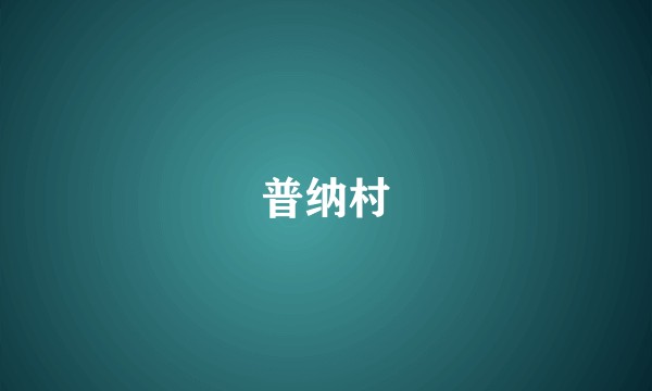 普纳村