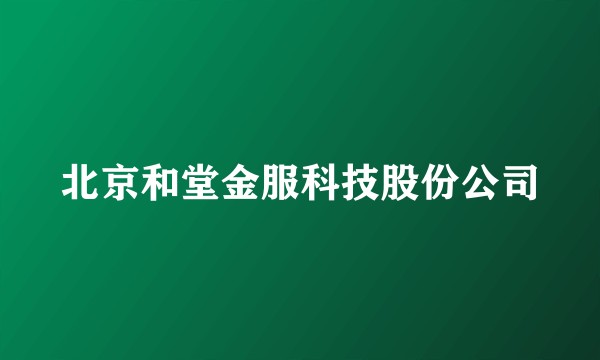 北京和堂金服科技股份公司