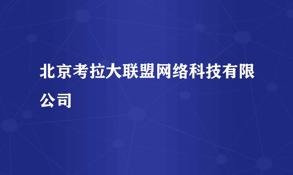 北京考拉大联盟网络科技有限公司