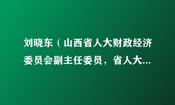 刘晓东（山西省人大财政经济委员会副主任委员，省人大常委会预算工作委员会副主任）