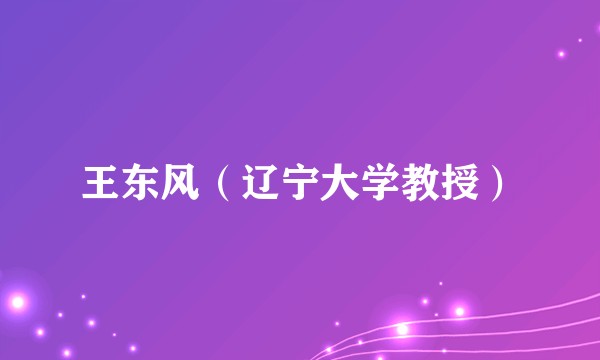 王东风（辽宁大学教授）