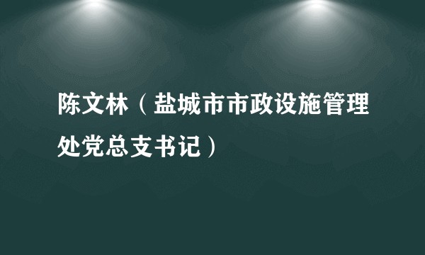 陈文林（盐城市市政设施管理处党总支书记）