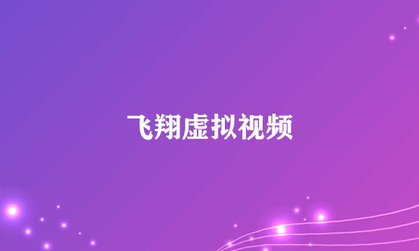飞翔虚拟视频