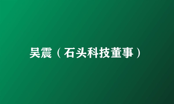 吴震（石头科技董事）