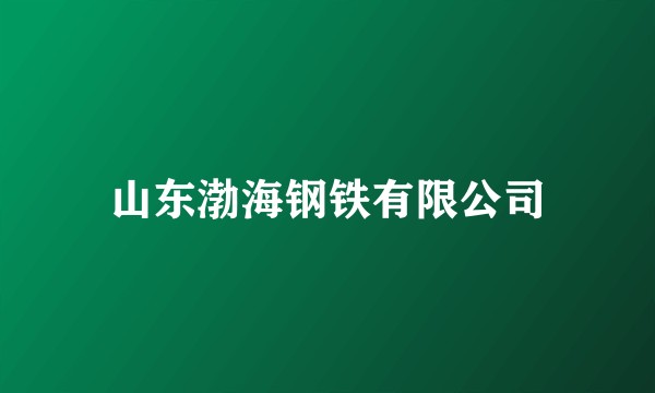 山东渤海钢铁有限公司