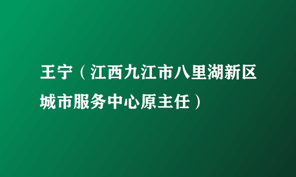 王宁（江西九江市八里湖新区城市服务中心原主任）