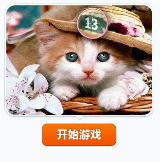 可爱猫咪找数字5