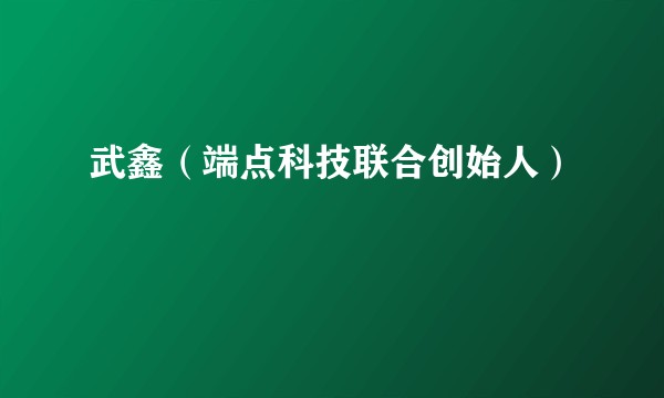武鑫（端点科技联合创始人）
