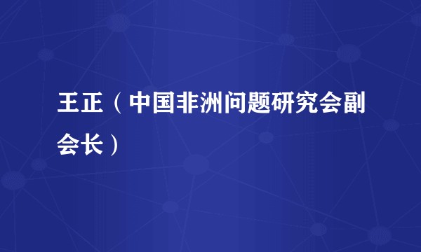 王正（中国非洲问题研究会副会长）
