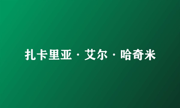 扎卡里亚·艾尔·哈奇米