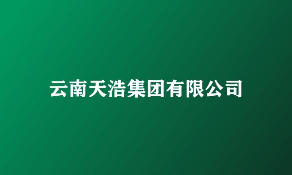 云南天浩集团有限公司