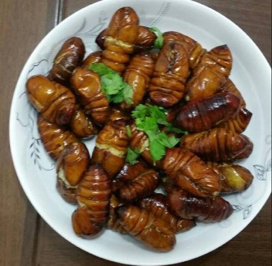 香炒蚕蛹