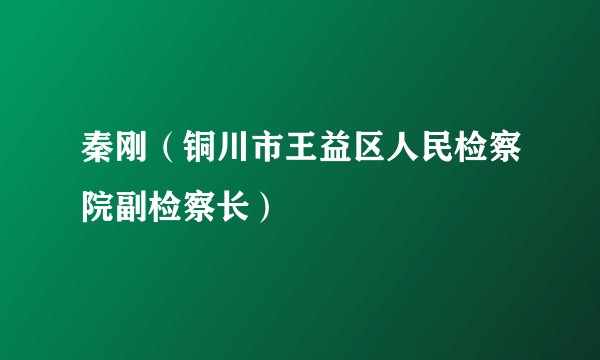 秦刚（铜川市王益区人民检察院副检察长）