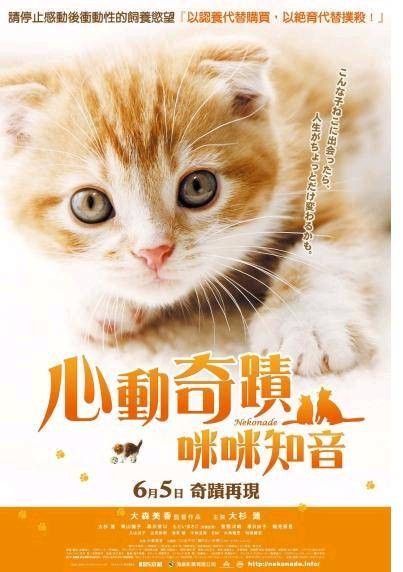 心动奇迹2：咪咪知音